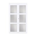 Renin Renin 24 in. x  80 1/2 in.  Euro 3-Lite Bi-Fold Door EU3080BWFGE024080